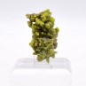 Pyromorphite - Daoping mine, Gongchen, Guilin, Guangxi, China