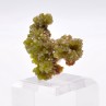 Pyromorphite - Daoping mine, Gongchen, Guilin, Guangxi, China