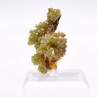 Pyromorphite - Daoping mine, Gongchen, Guilin, Guangxi, China