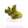 Pyromorphite - Daoping mine, Gongchen, Guilin, Guangxi, China