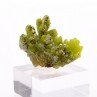 Pyromorphite - Mine Daoping, Gongchen, Guilin, Guangxi, Chine