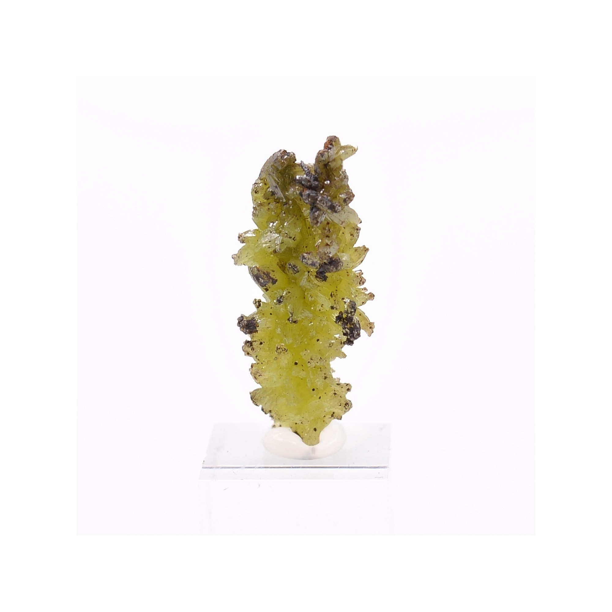 Pyromorphite - Mine Daoping, Gongchen, Guilin, Guangxi, Chine