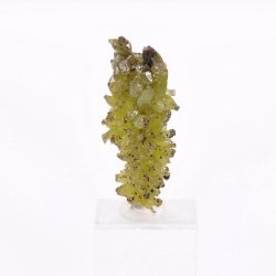 Pyromorphite - Mine Daoping, Gongchen, Guilin, Guangxi, Chine
