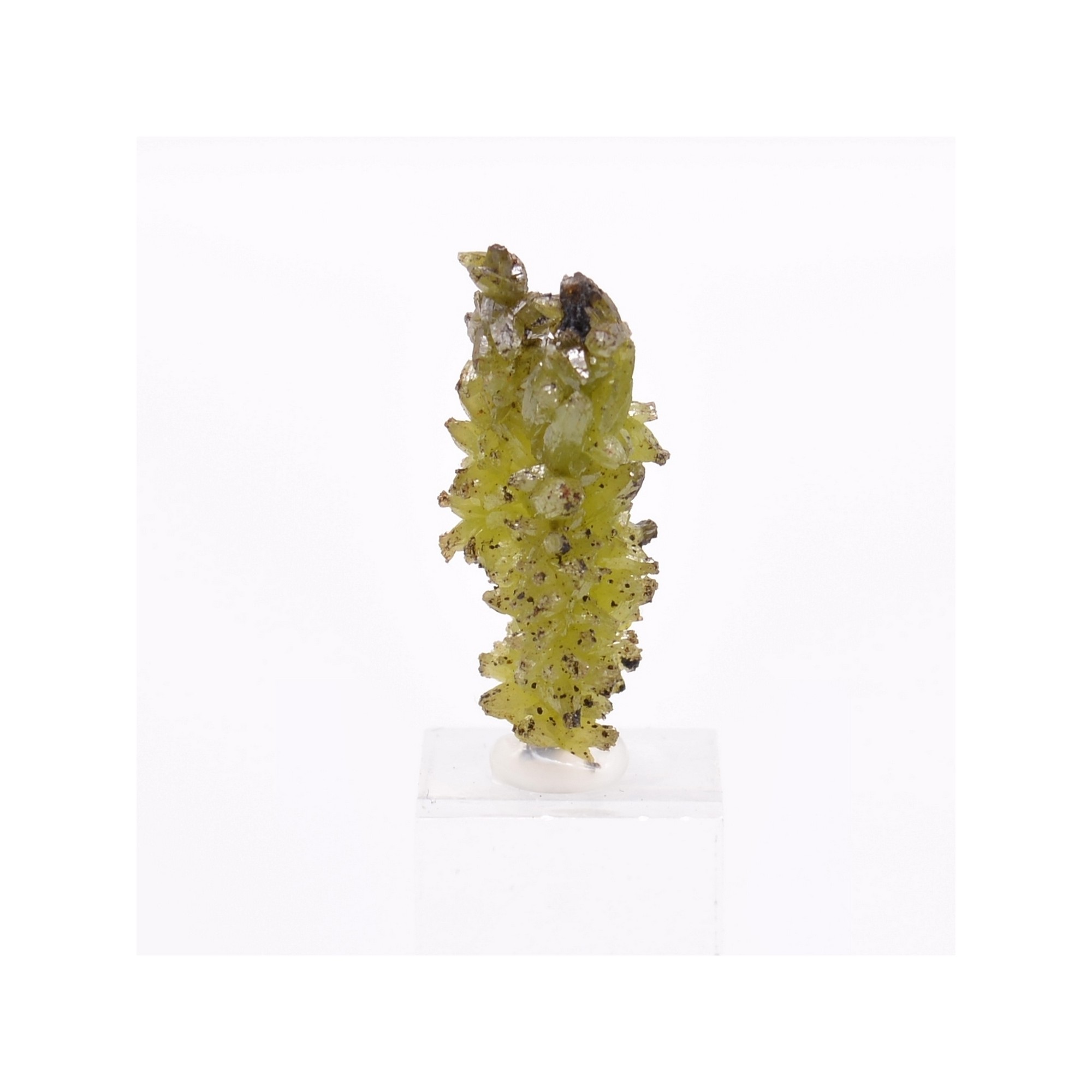 Pyromorphite - Mine Daoping, Gongchen, Guilin, Guangxi, Chine