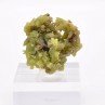 Pyromorphite - Daoping mine, Gongchen, Guilin, Guangxi, China