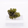 Pyromorphite - Mine Daoping, Gongchen, Guilin, Guangxi, Chine