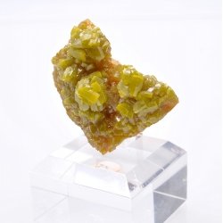 Pyromorphite - Bunker Hill mine, Shoshone Co., Idaho, USA