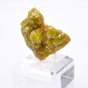 Pyromorphite - Bunker Hill mine, Shoshone Co., Idaho, USA