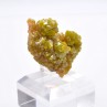 Pyromorphite - Mine Bunker Hill, Shoshone Co., Idaho, Etats-Unis