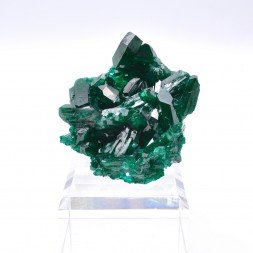 Dioptase - Mindouli, Département de Pool, Congo