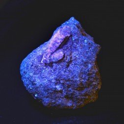 Corundum - Plouguerneau, Finistère, France