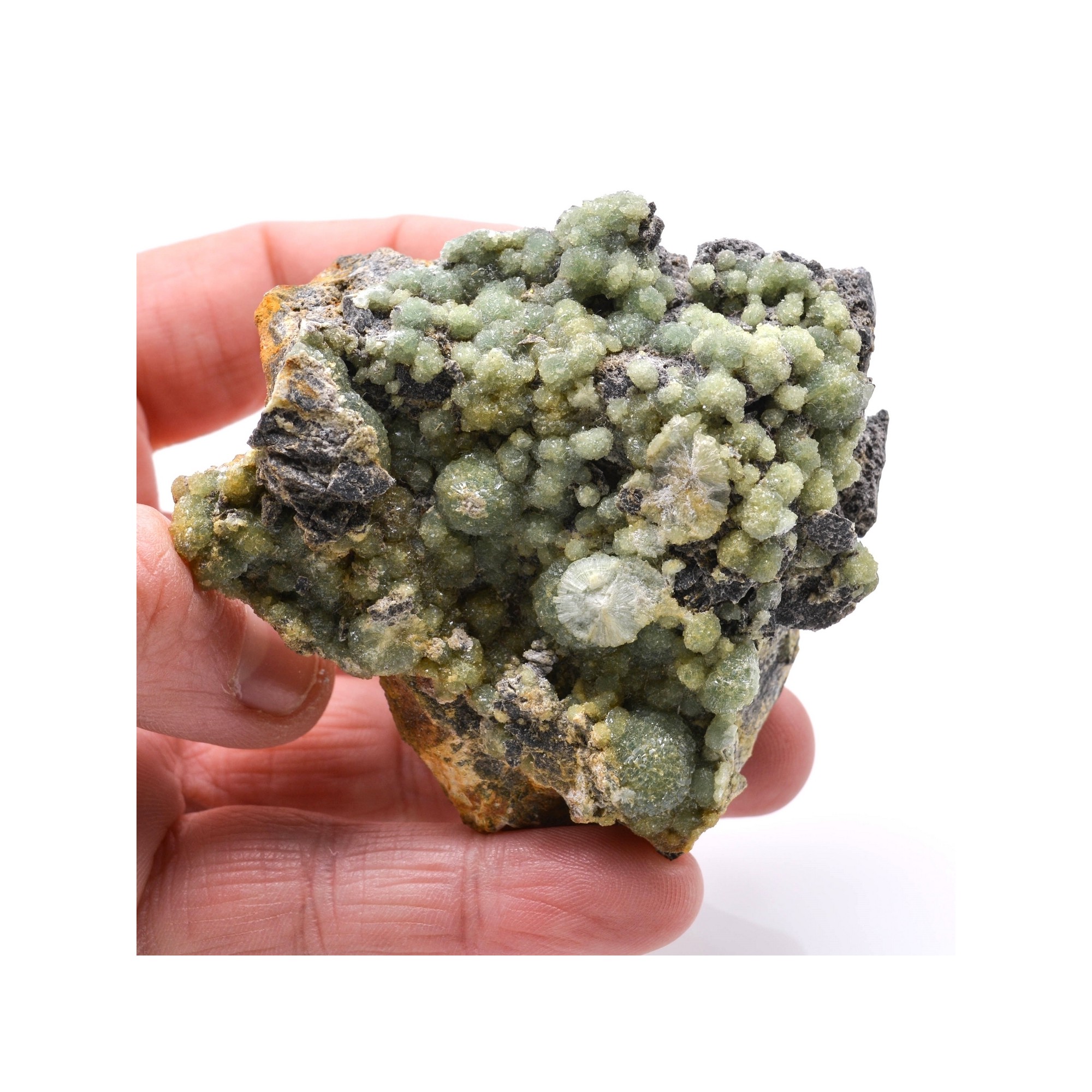 Wavellite - Mauldin, Arkansas, Etats-Unis