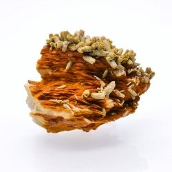 Pyromorphite sur barytine - Mine des Farges, Ussel, Corrèze, France