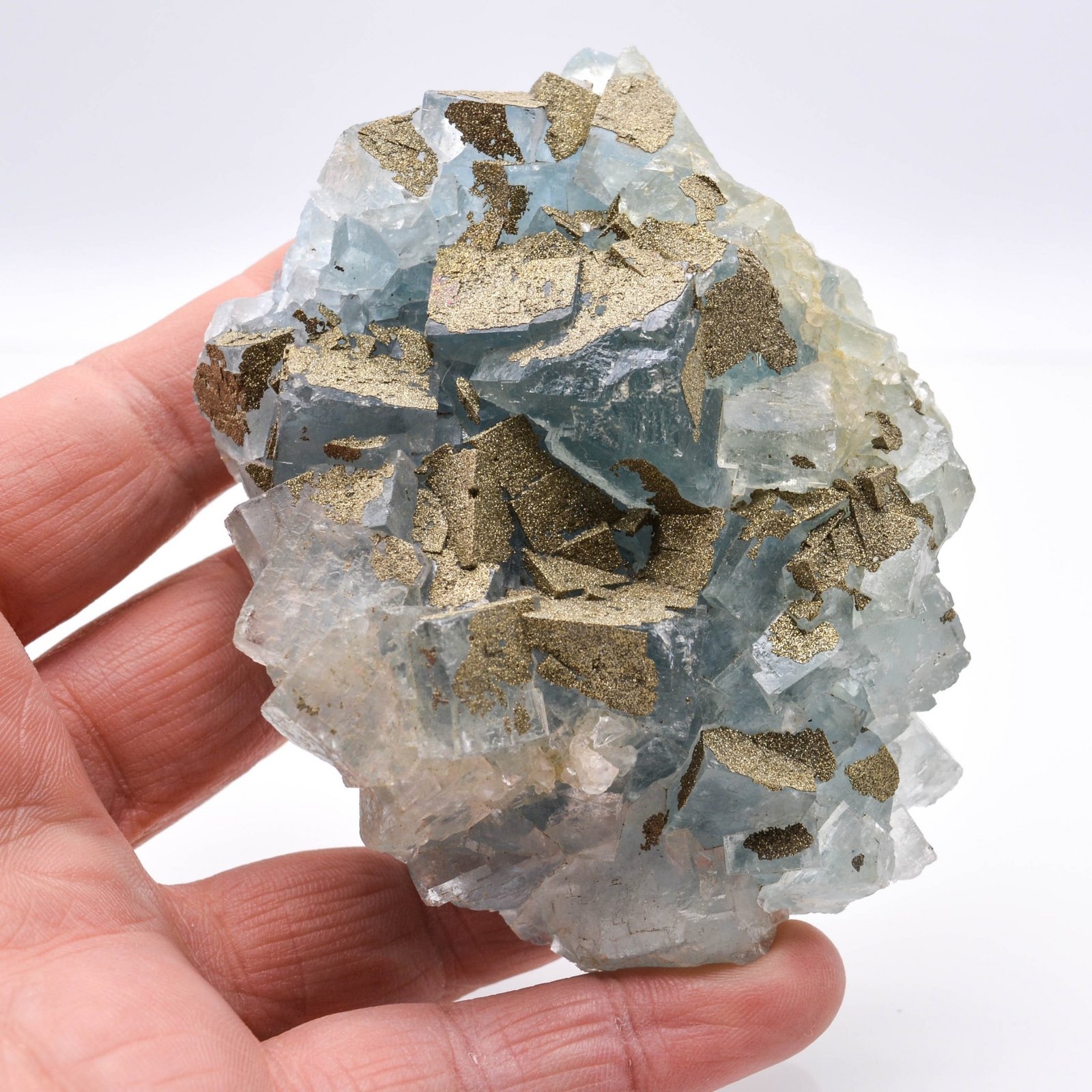 Fluorite and pyrite - Le Burc, Alban, Tarn, France