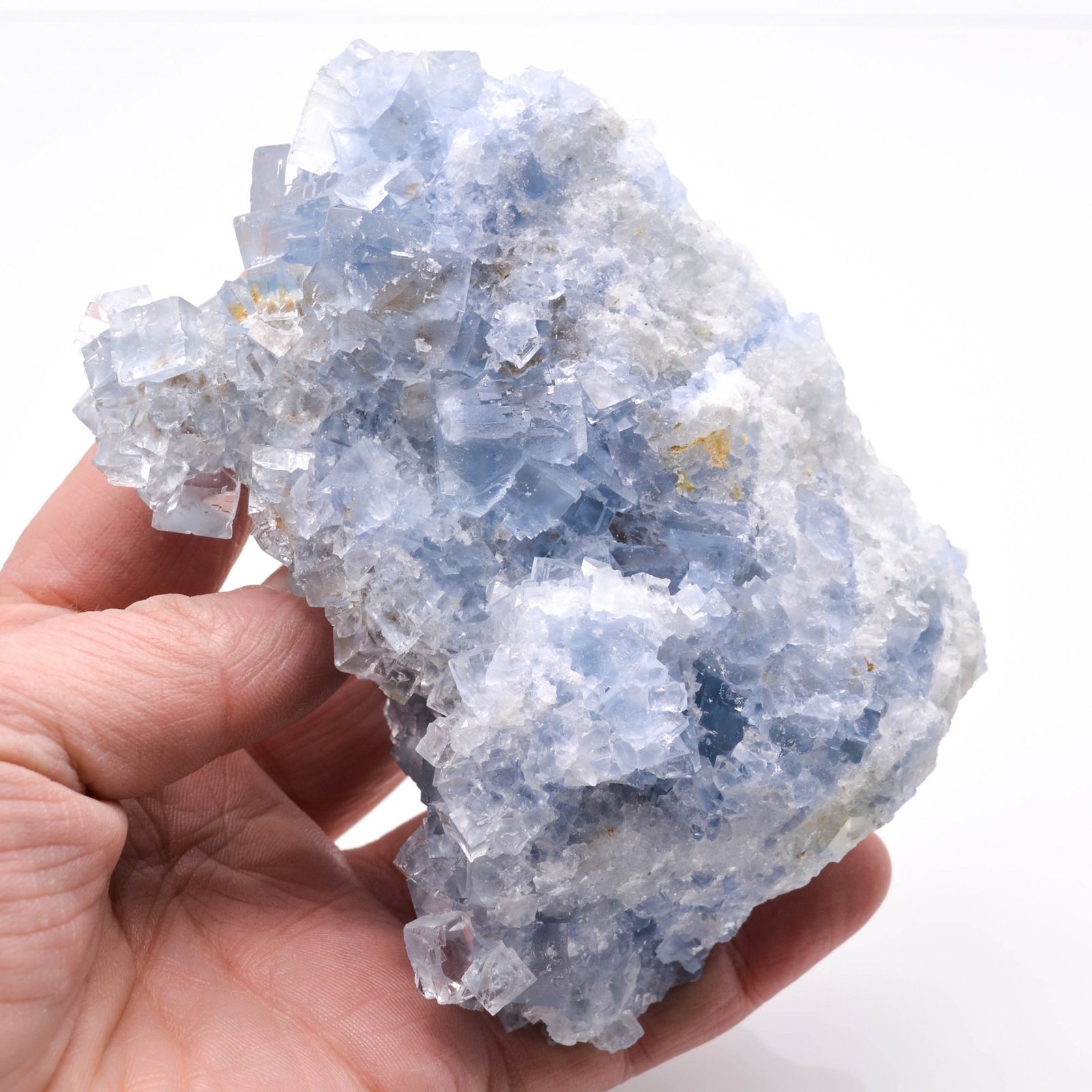 Fluorine - Le Burc, Alban, Tarn, France