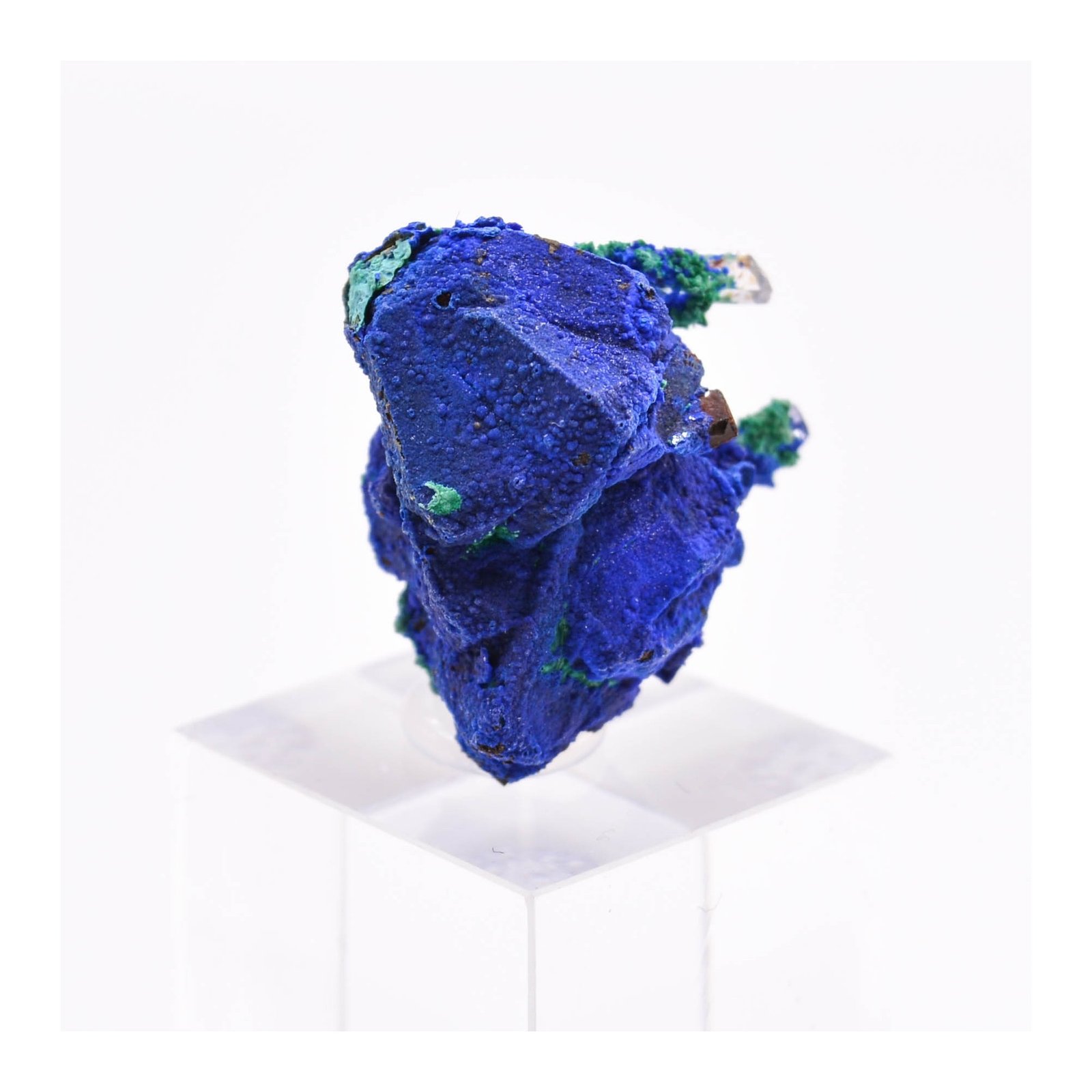 Azurite sur tétraèdrite - Mine à Giraud (La Gardette), Isère, France