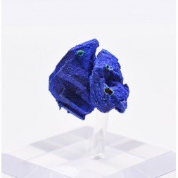 Azurite sur tétraèdrite - Mine à Giraud (La Gardette), Isère, France