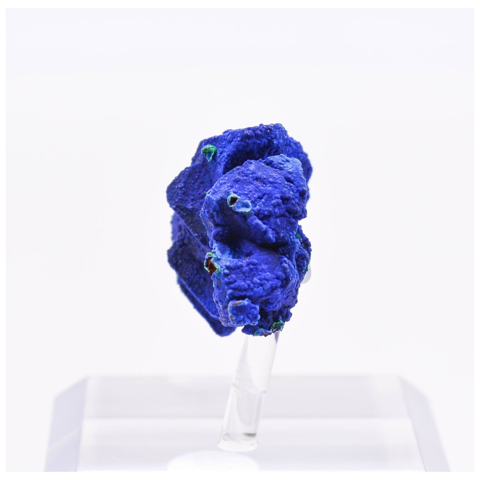 Azurite sur tétraèdrite - Mine à Giraud (La Gardette), Isère, France