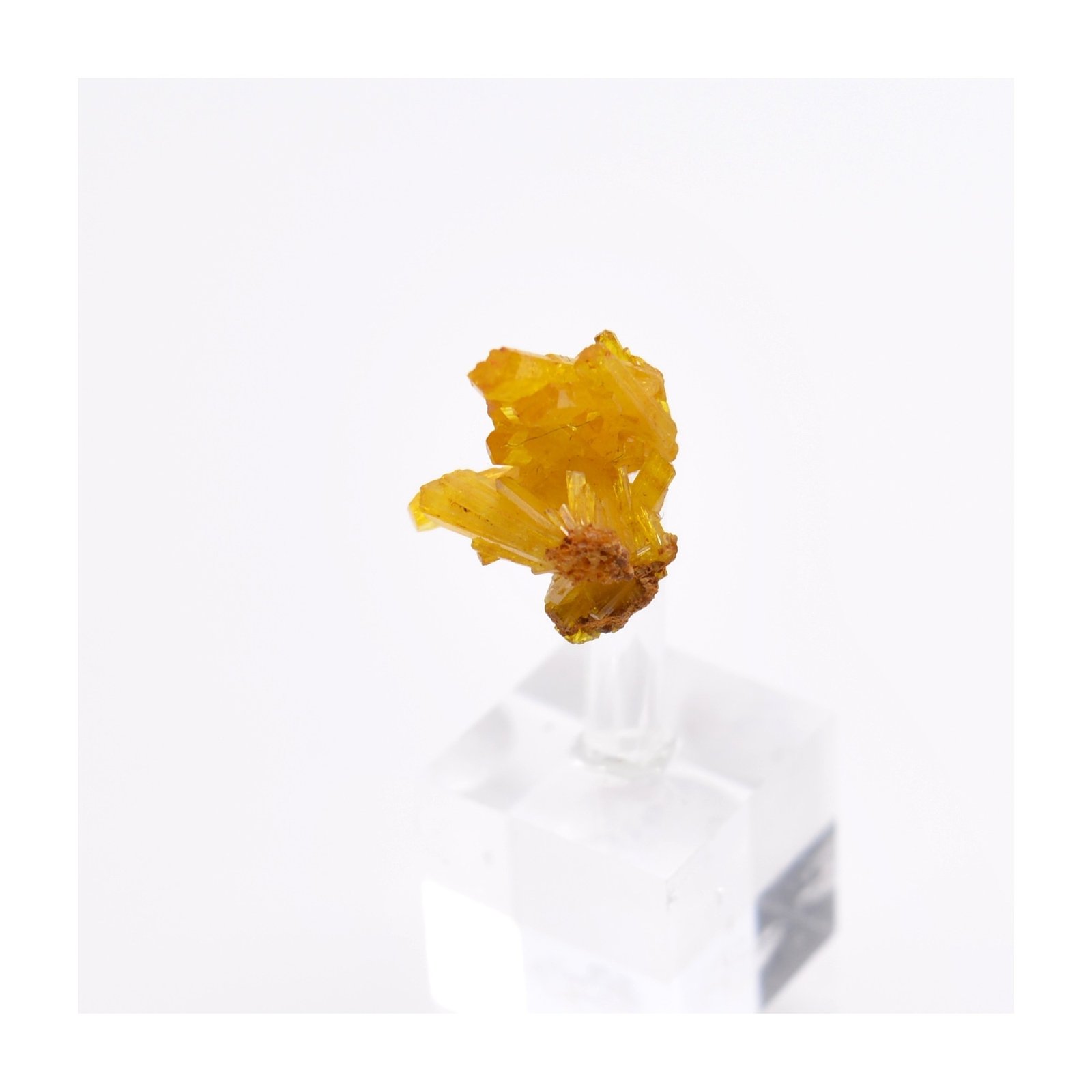 Legrandite - Mine Ojuela, Mapimi, Durango, Mexique