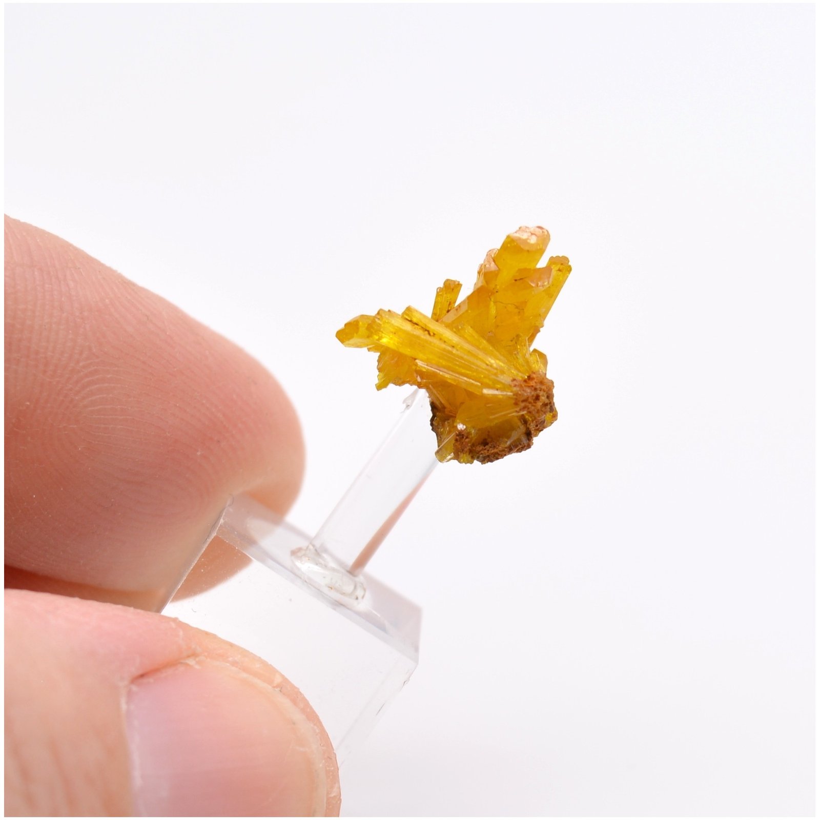 Legrandite - Mine Ojuela, Mapimi, Durango, Mexique