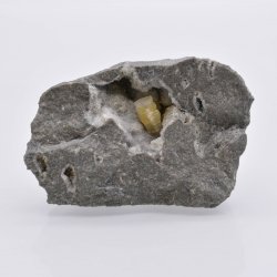 Weloganite - Rare ! - Carrière Francon, Québec, Canada