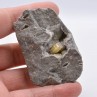 Weloganite - Rare ! - Francon quarry, Quebec, Canada
