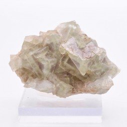 Fluorite - Osojnik, Blegos hill, Slovenia