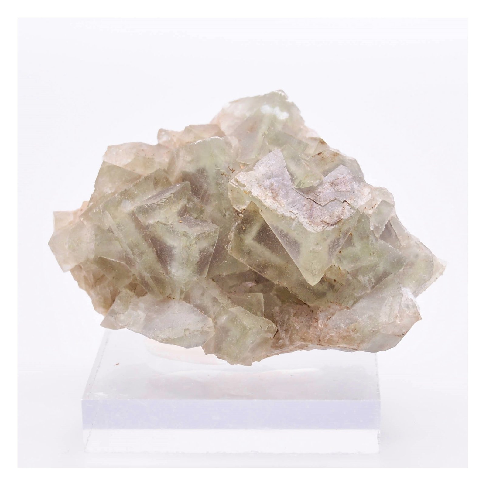 Fluorite - Osojnik, Blegos hill, Slovenia