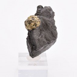 Pyrite - Verrières, Aveyron, France