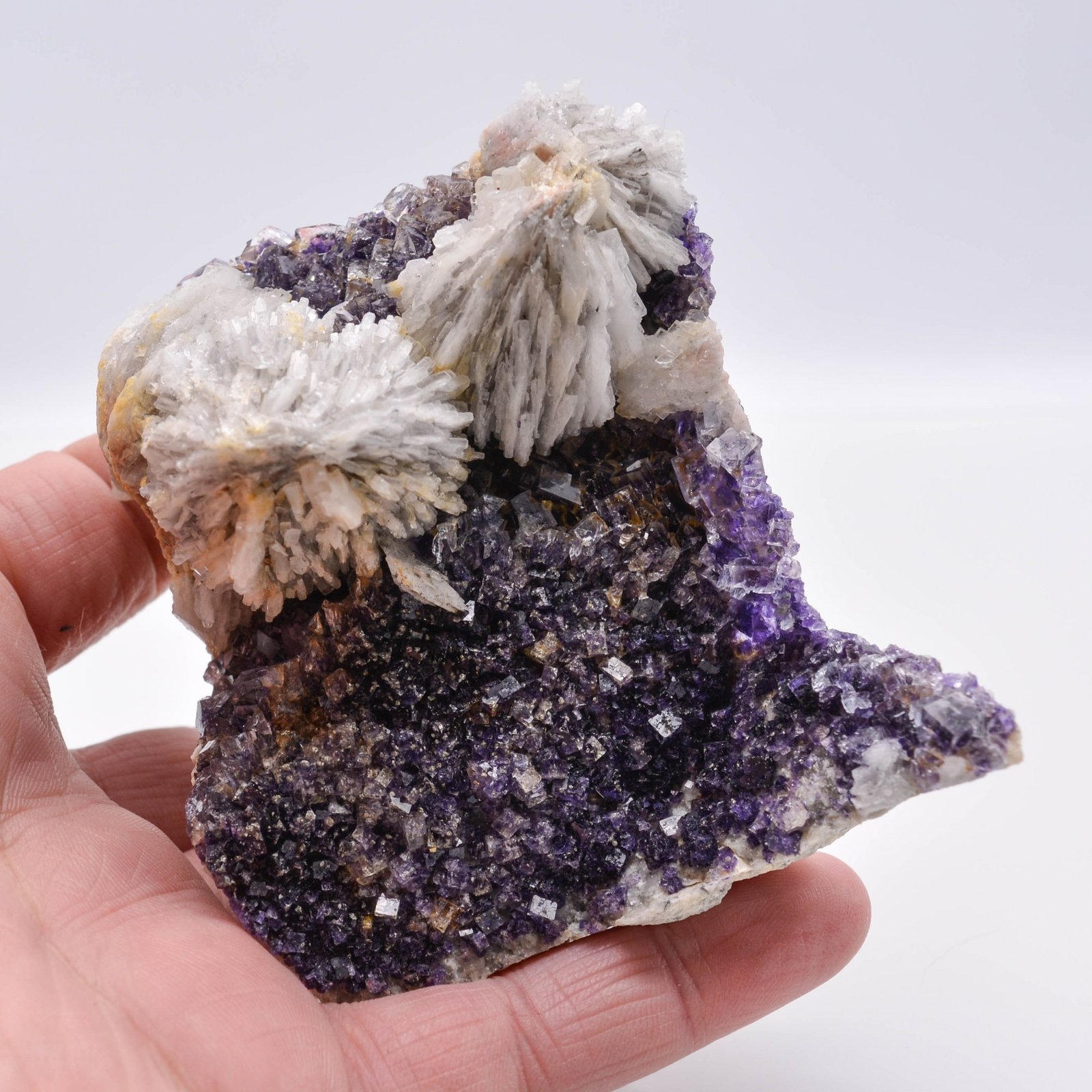 Fluorine et barytine - Saint Peray, Ardèche, France