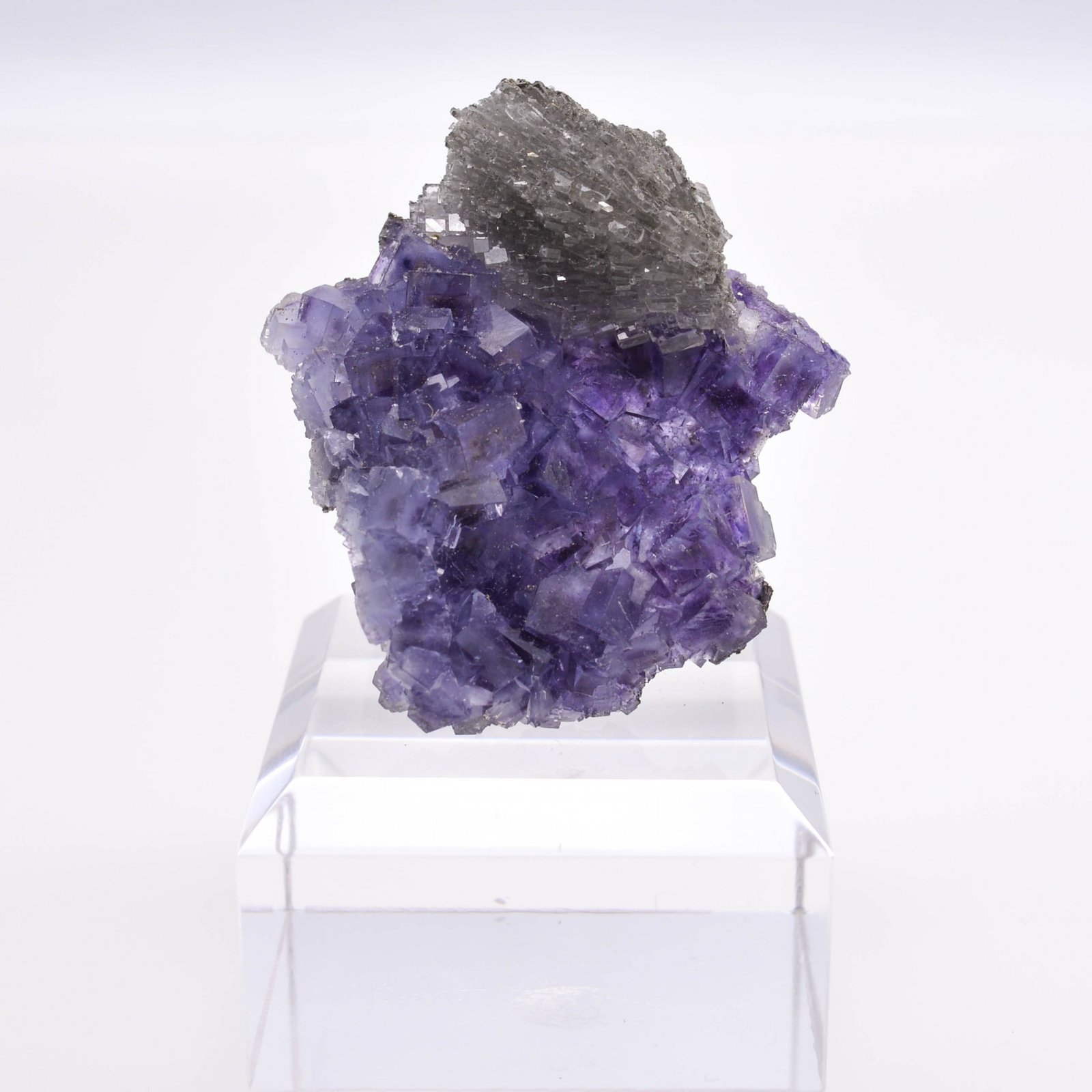 Fluorine et barytine - Saint Peray, Ardèche, France