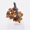 Azurite - Touissit, Maroc