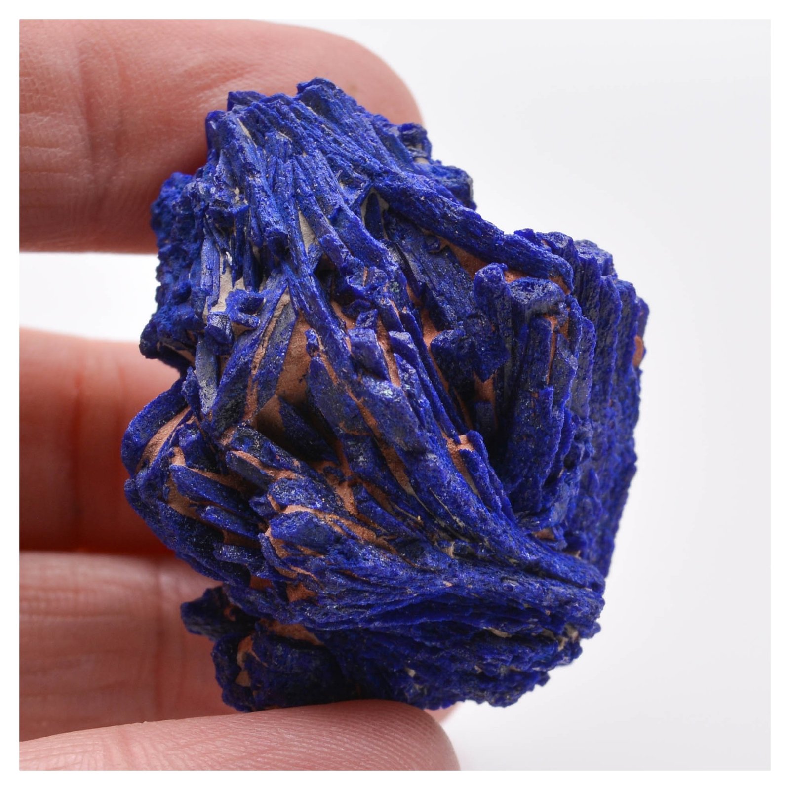 Azurite - Midelt, Maroc