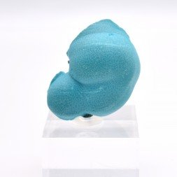 Chrysocolla on malachite - Star mine, Lubumbashi, Katanga, Congo