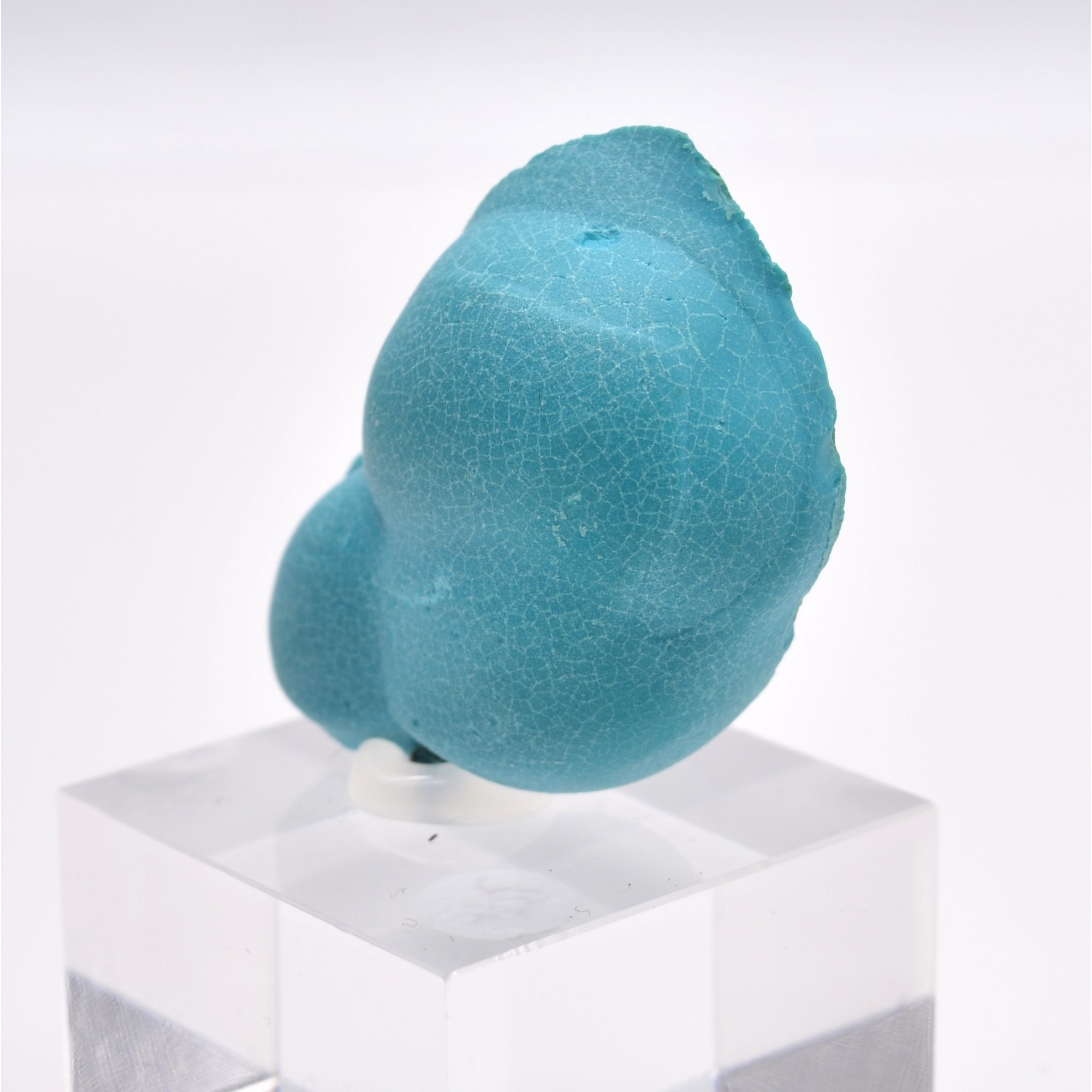 Chrysocolle sur malachite - Mine de l'Etoile, Lubumbashi, Katanga, Congo