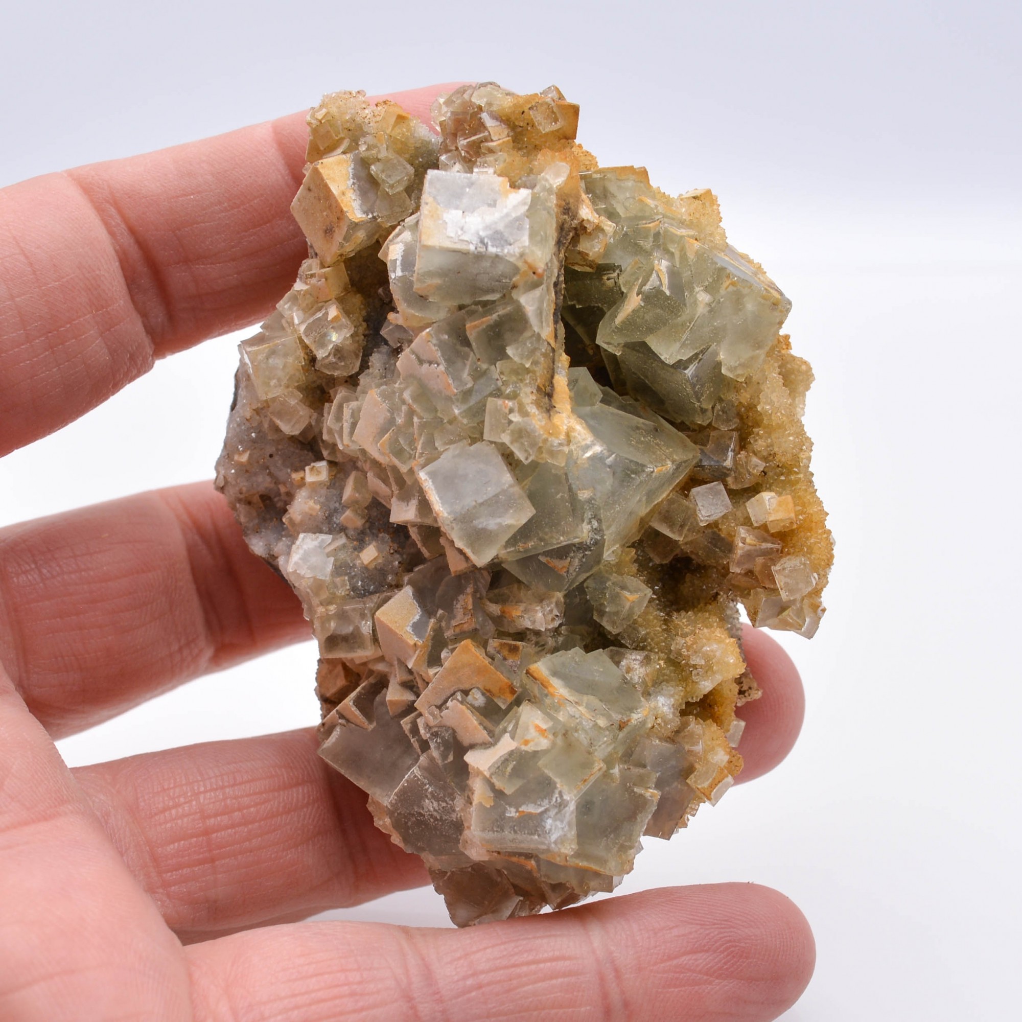 Fluorite - Osojnik, Blegos hill, Slovenia