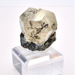 Pyrite et hématite - Mine Valle Giove, Rio Marina, Île d'Elbe, Toscane, Italie