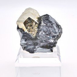 Pyrite et hématite - Mine Valle Giove, Rio Marina, Île d'Elbe, Toscane, Italie