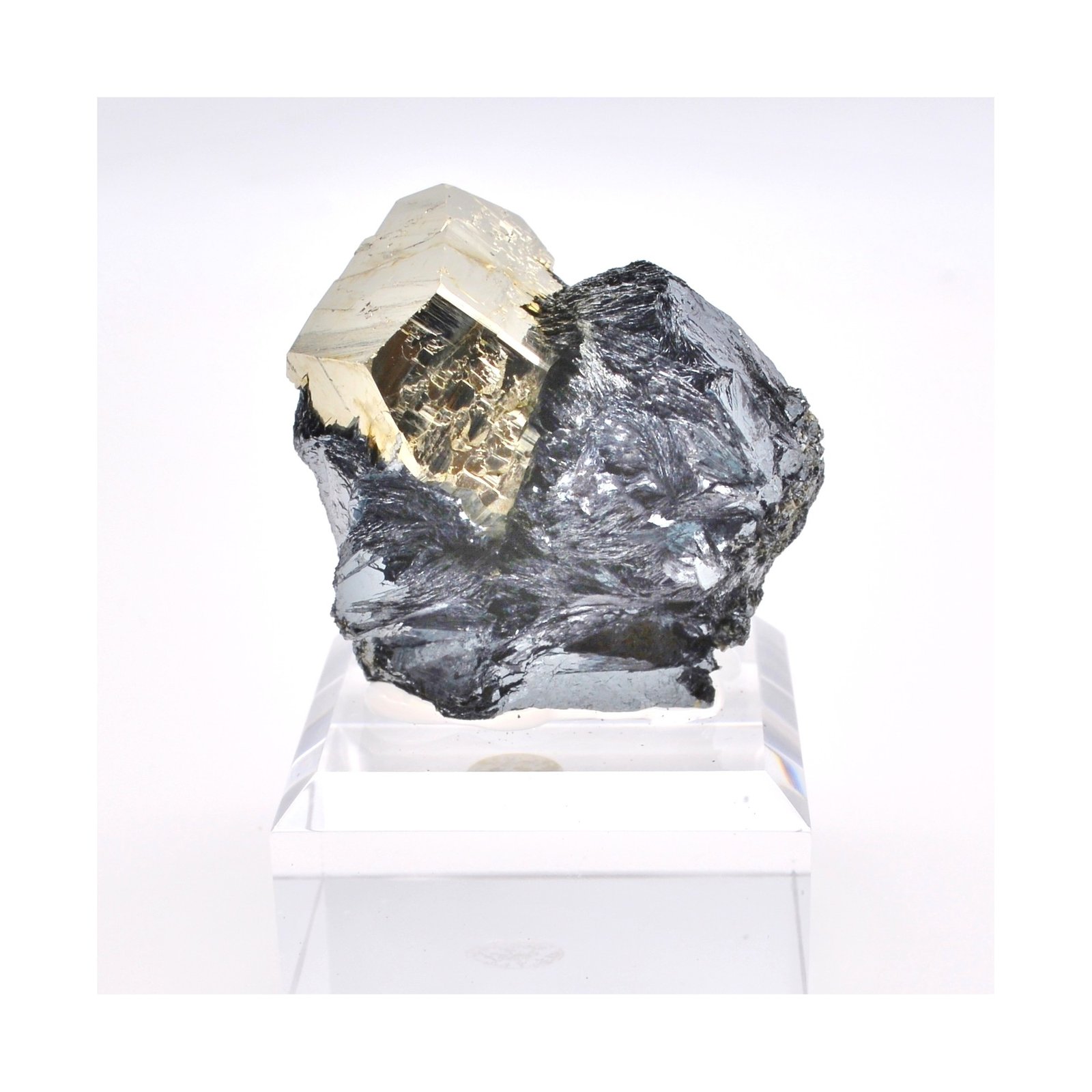 Pyrite and hematite - Valle Giove mine, Rio Marina, Elba island, Tuscany, Italy