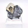 Pyrite and hematite - Valle Giove mine, Rio Marina, Elba island, Tuscany, Italy