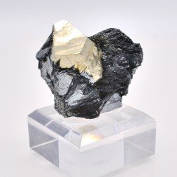 Pyrite et hématite - Mine Valle Giove, Rio Marina, Île d'Elbe, Toscane, Italie