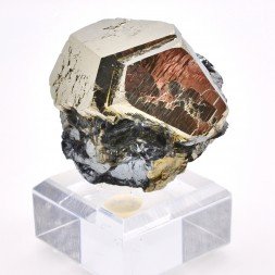 Pyrite and hematite - Valle Giove mine, Rio Marina, Elba island, Tuscany, Italy