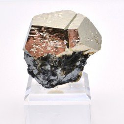 Pyrite and hematite - Valle Giove mine, Rio Marina, Elba island, Tuscany, Italy