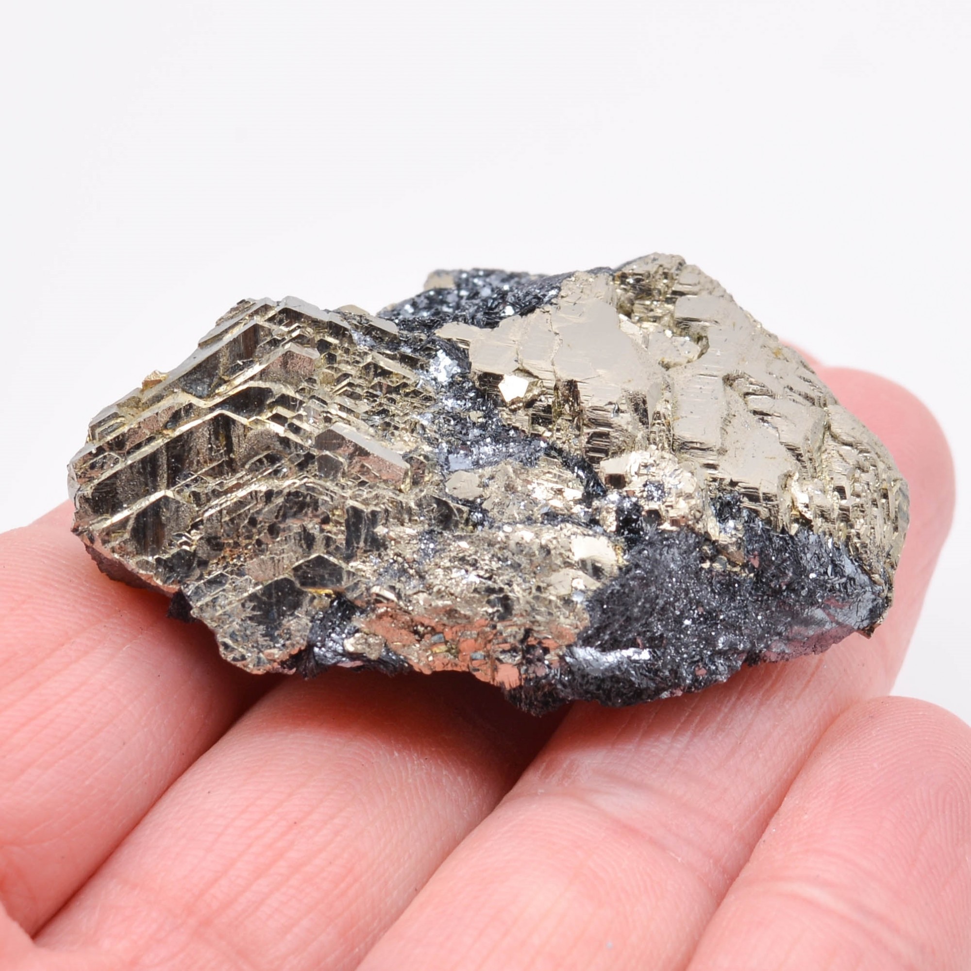 Pyrite et hématite - Mine Valle Giove, Rio Marina, Île d'Elbe, Toscane, Italie