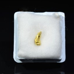 Or natif - Morbihan, France