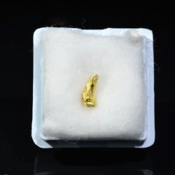 Native gold - Morbihan, France