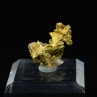 Native gold on quartz - Morbihan, France