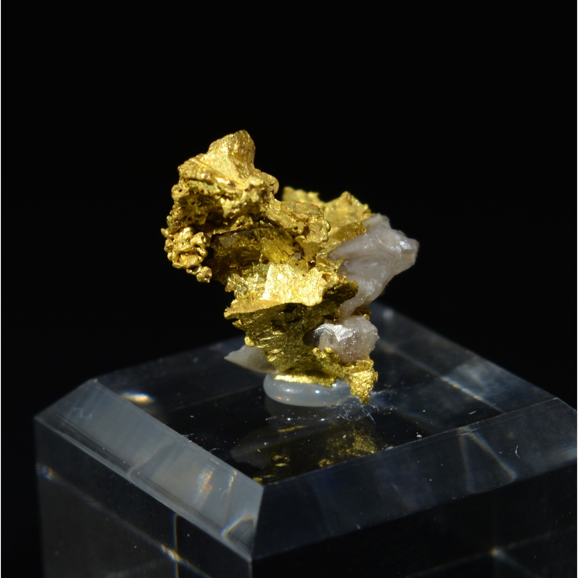 Native gold on quartz - Morbihan, France