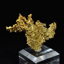 Or cristallisé - Mine Oriental, Californie, Etats-Unis