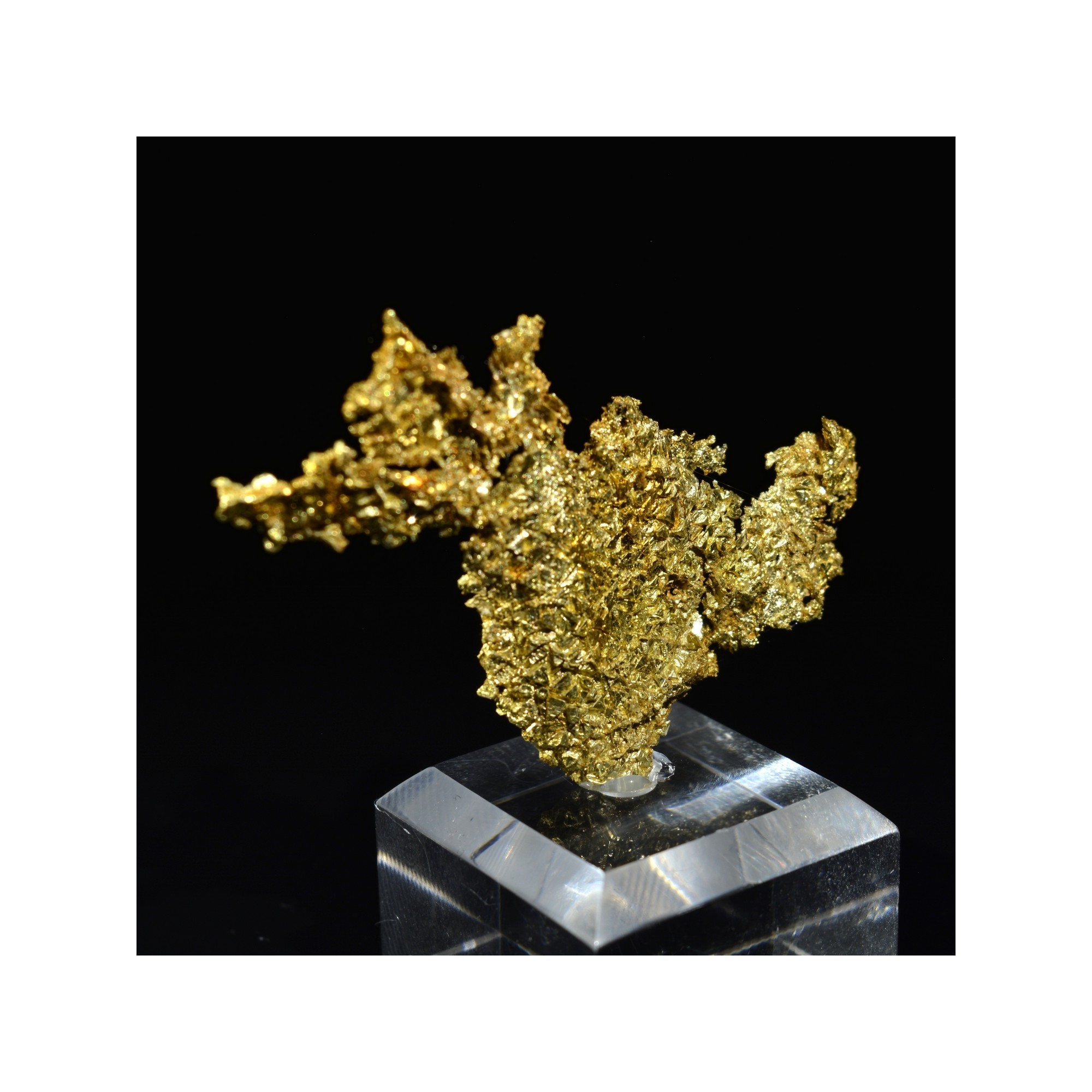 Cristallized gold - Oriental mine, California, USA